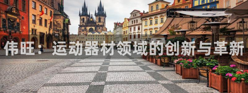 德国球速体育QsTY官方正版app集团:伟旺:运动器材领域的